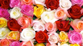 Horticulture and Culture Tour