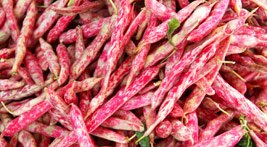 Culinary Delights Tour